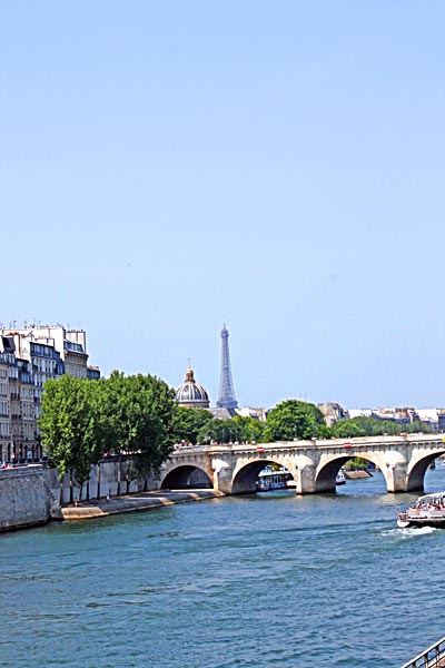 Сена, вид на самый старый мост Парижа - 